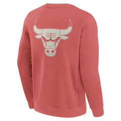 Chicago Bulls Elements Future Ground Lettering Pullover Sweatshirt Red