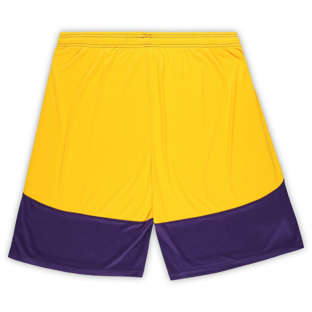 Minnesota Vikings Big & Tall Launch Shorts Purple/Gold