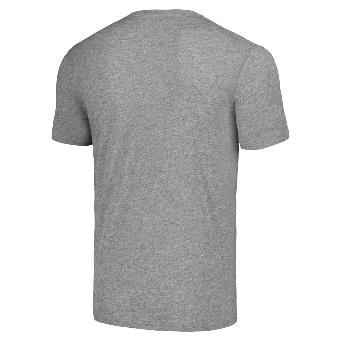 Detroit Lions NFL x Homage x Beavis and Butt-Head Unisex Tri-Blend T-Shirt – Gray