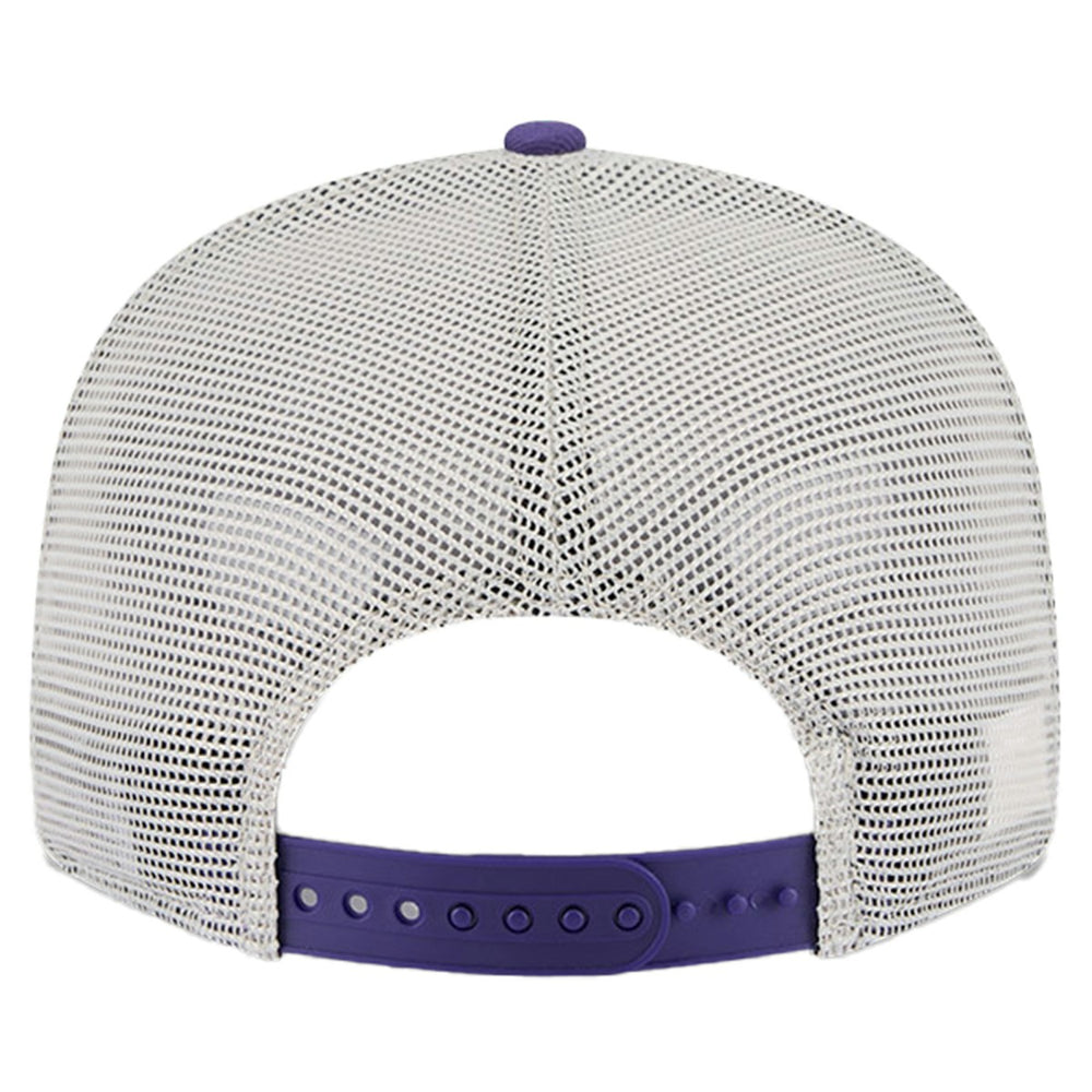Phoenix Suns Victory Grove Split Panel 9FIFTY Snapback Hat Purple