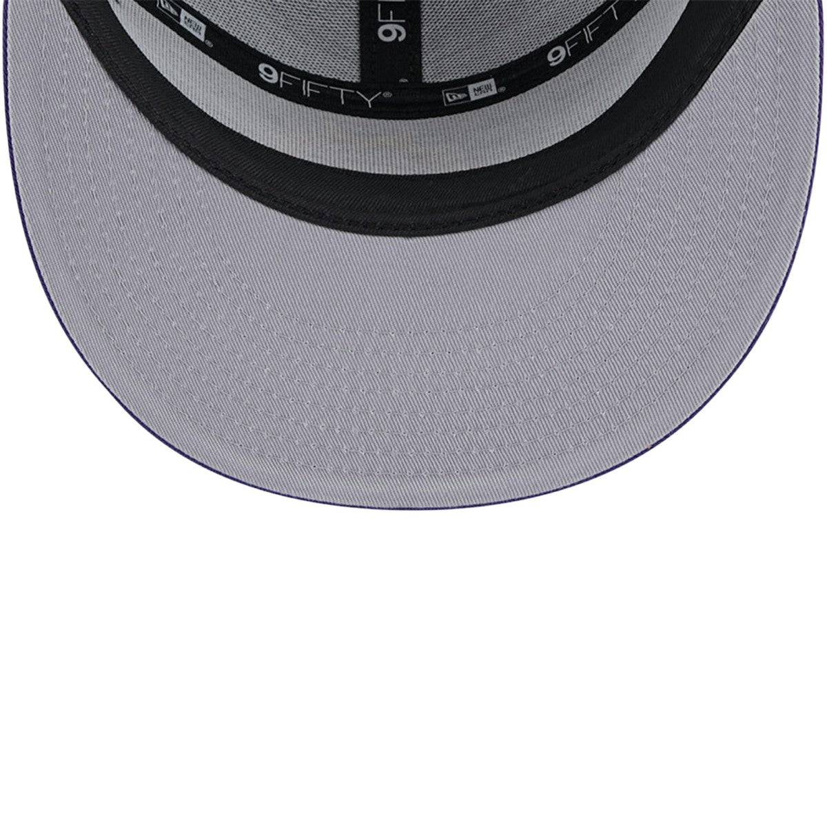Phoenix Suns Victory Grove Split Panel 9FIFTY Snapback Hat Purple