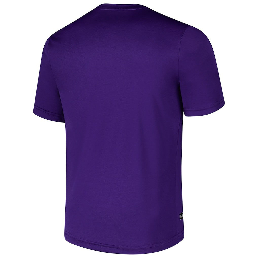 Minnesota Vikings Stadium Retro T-Shirt Purple