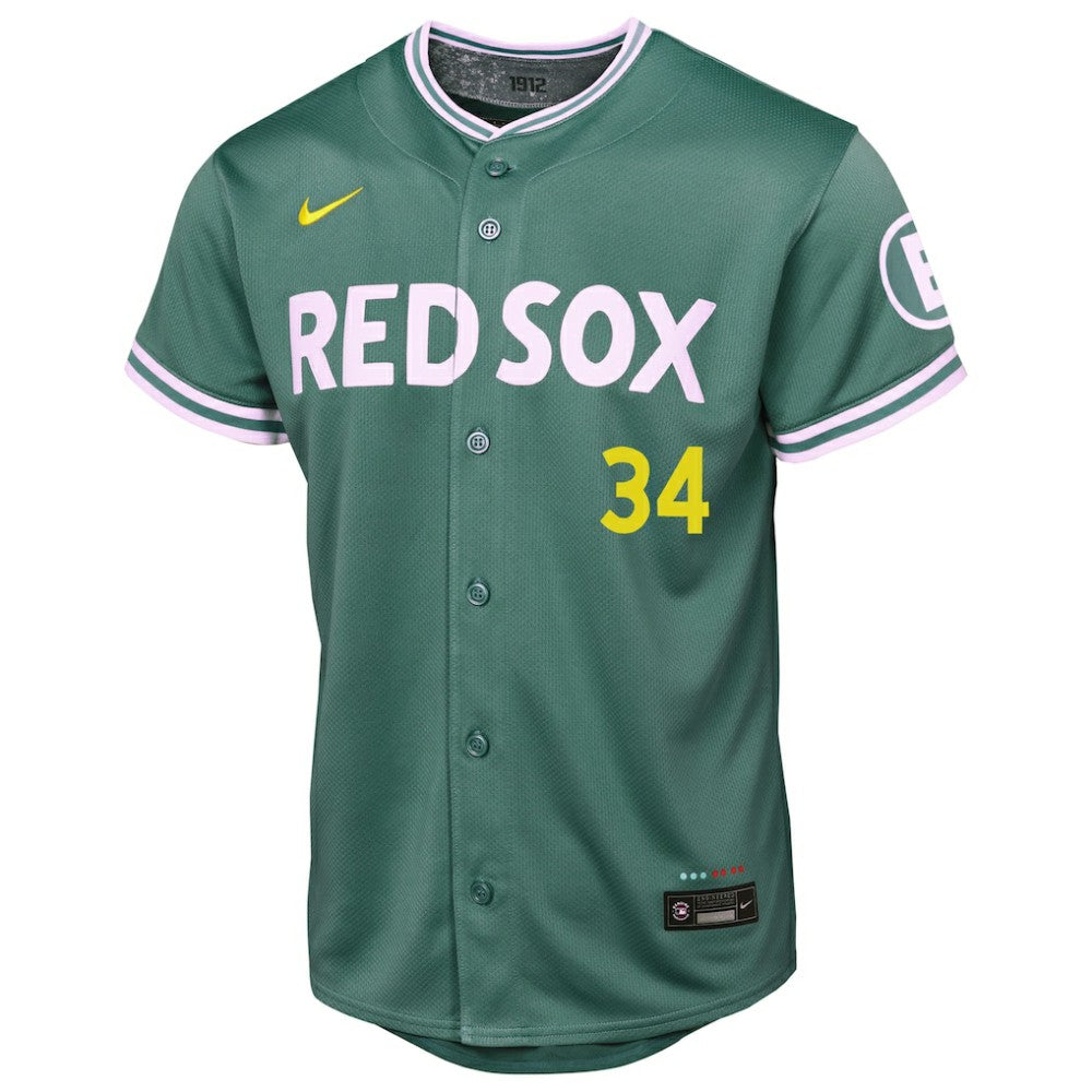 David Ortiz Boston Red Sox Nike Youth 2025 City Connect Limited Retired Player Jersey - Green Jerseys
