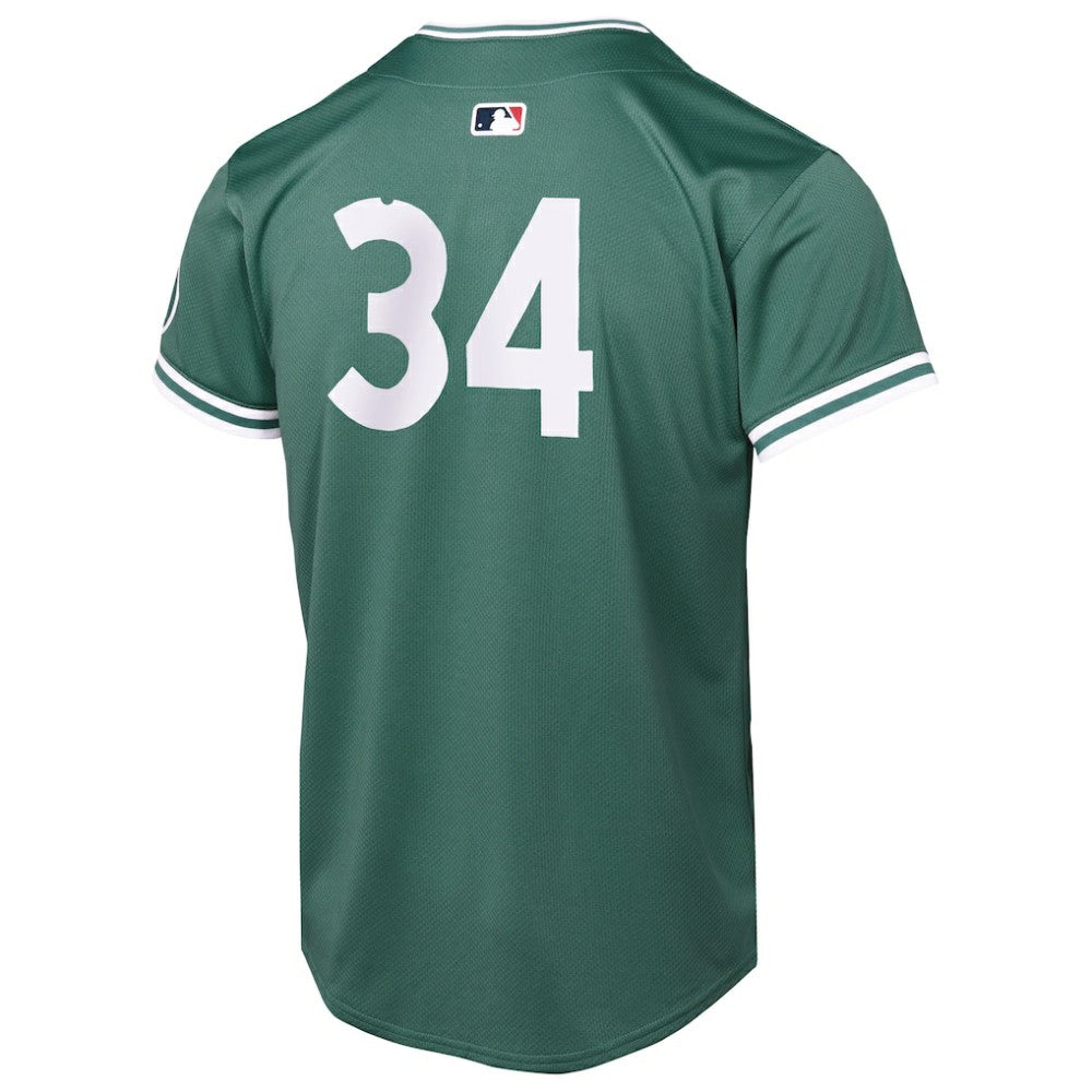 David Ortiz Boston Red Sox Nike Youth 2025 City Connect Limited Retired Player Jersey - Green Jerseys