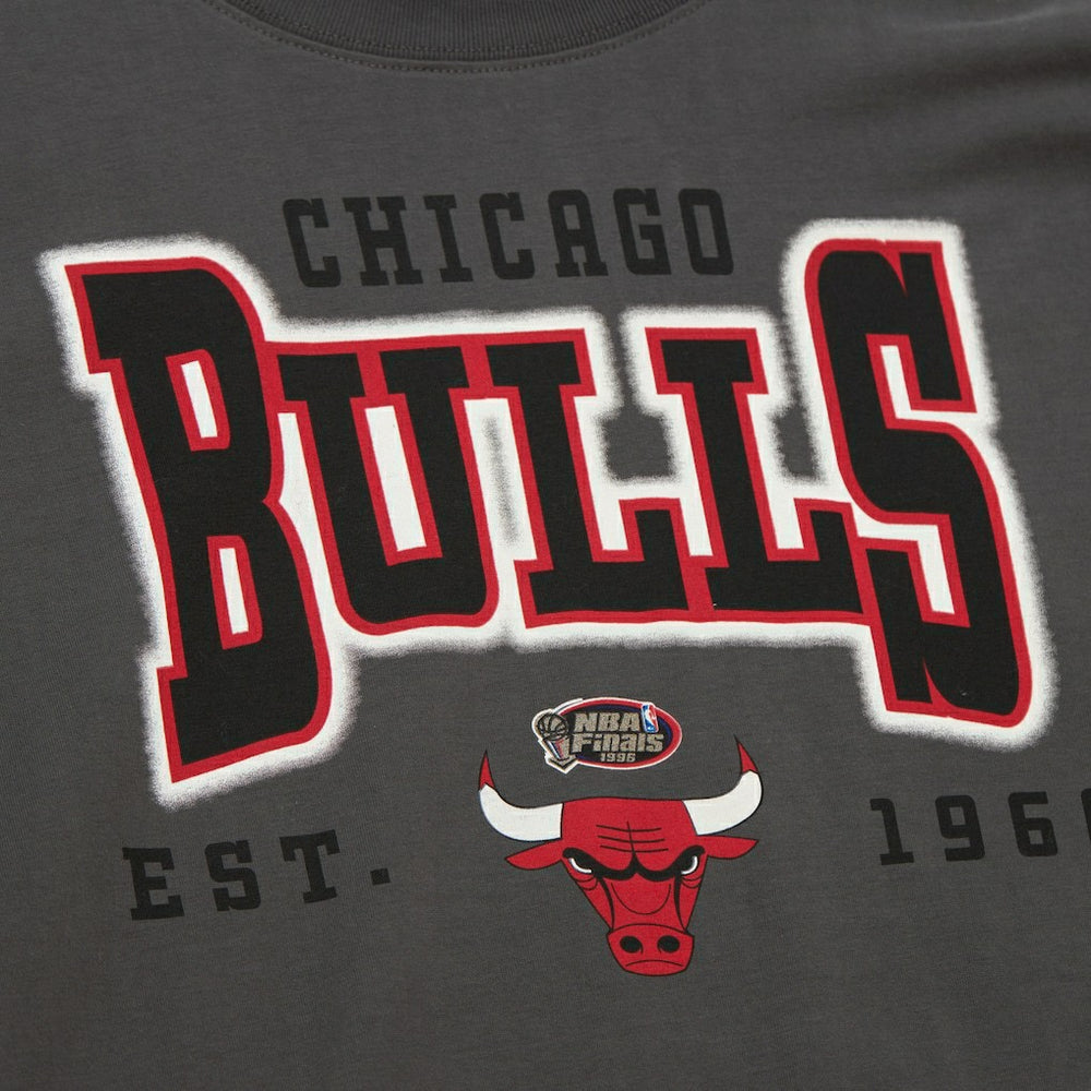 Chicago Bulls Women's Hardwood Classics Oversized Boyfriend T-Shirt Charcoal