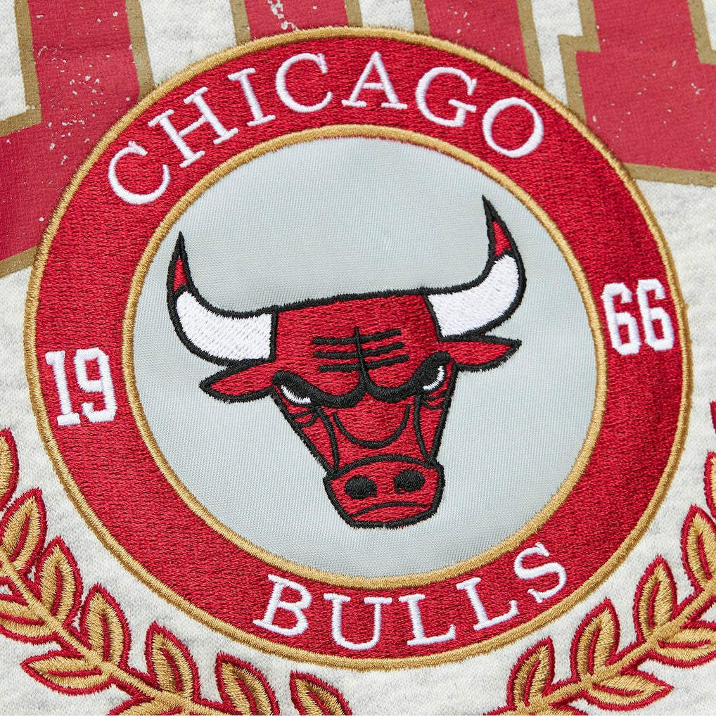 Chicago Bulls Vintage Logo Pullover Sweatshirt Heather Gray