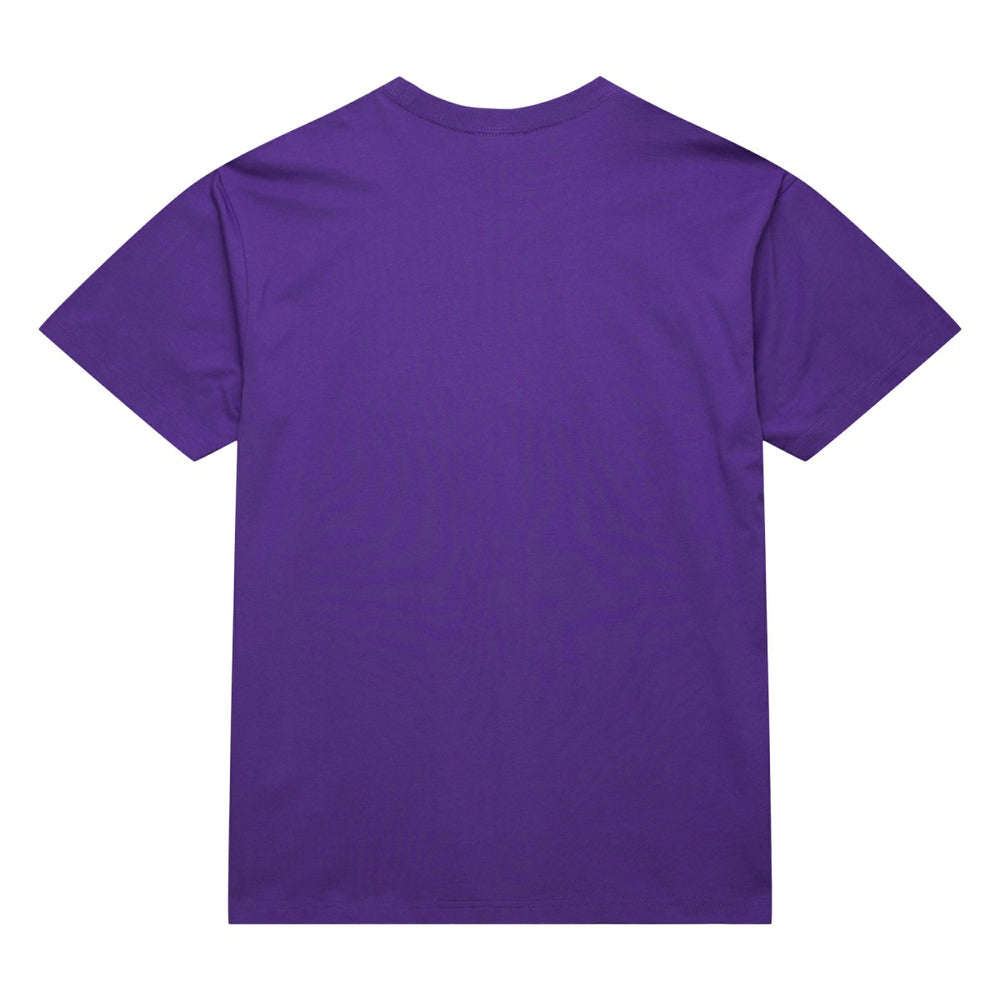 Toronto Raptors Hardwood Classics Neon Nights Premium T-Shirt Raptors Purple