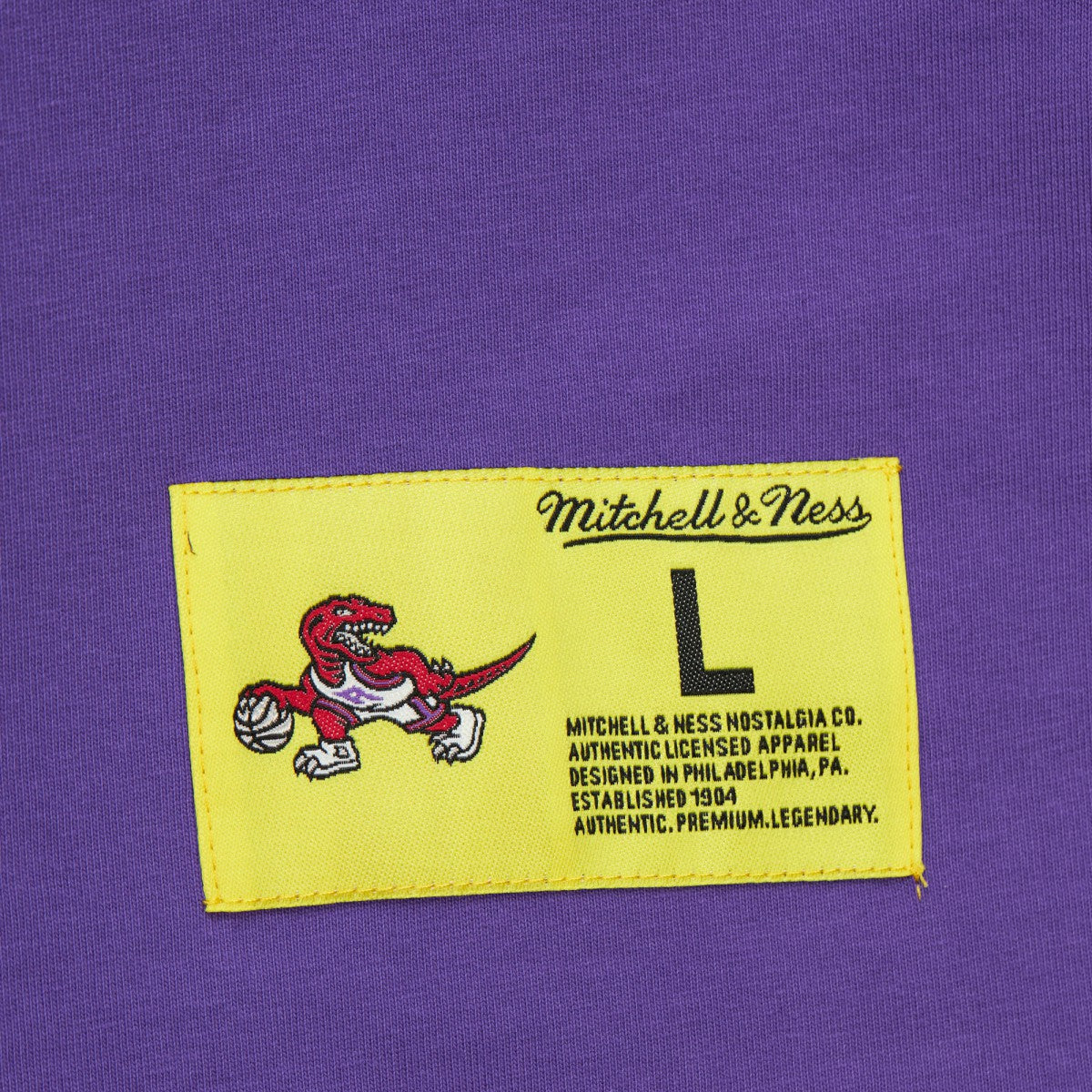 Toronto Raptors Hardwood Classics Neon Nights Premium T-Shirt Raptors Purple