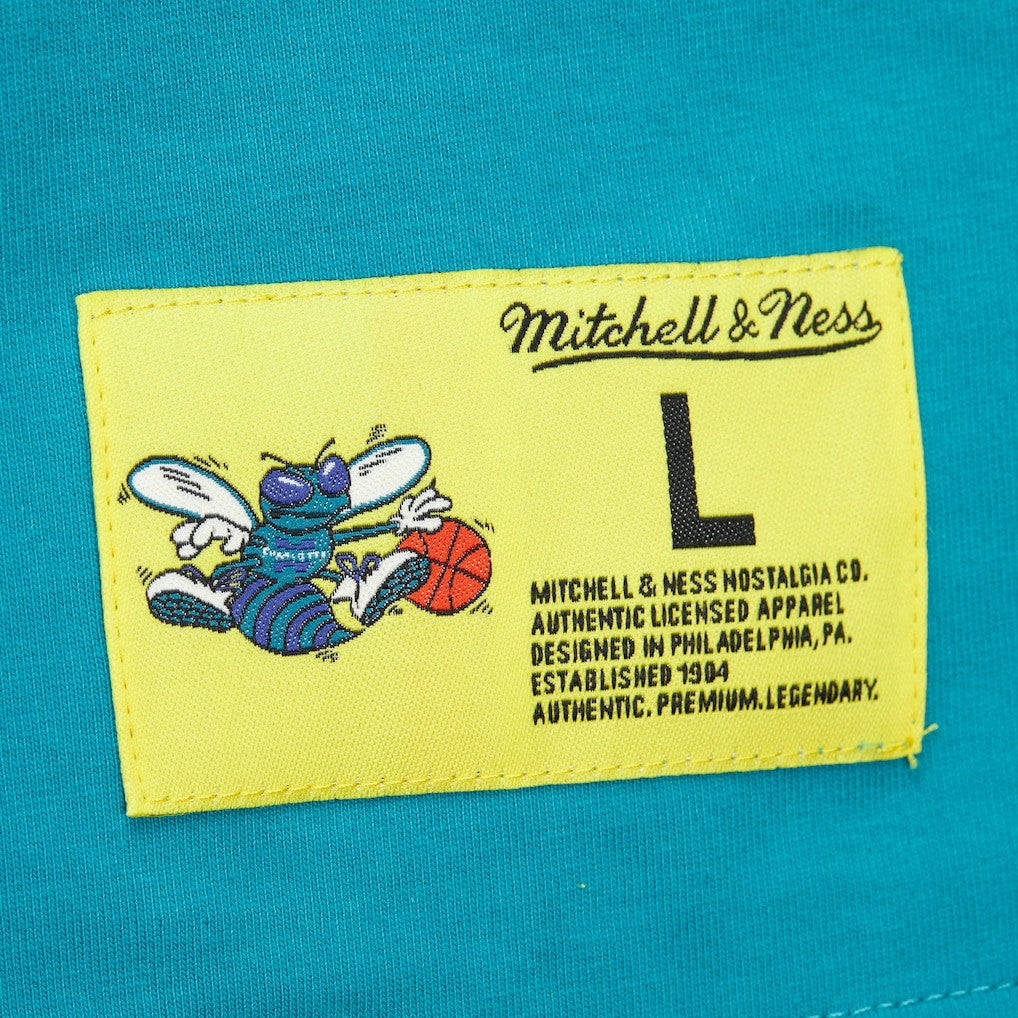 Charlotte Hornets Hardwood Classics Neon Nights Premium T-Shirt Teal