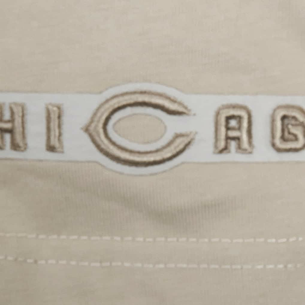 Chicago Bears Pro Standard Neutrals Capsule Short Sleeve Pullover Hoodie Tan