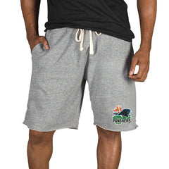 Carolina Panthers Concepts Sport Mainstream Tri-Blend Shorts Gray