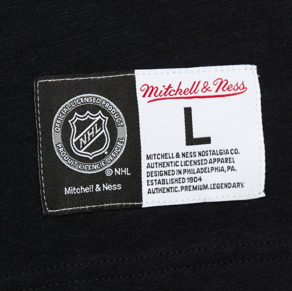 NHL San Jose Sharks Mitchell & Ness Legendary Slub Raglan Long Sleeve T-Shirt - Black/Teal