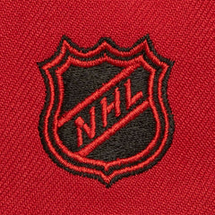 NHL Detroit Red Wings Mitchell & Ness Soul Triple Up Snapback Hat - Red