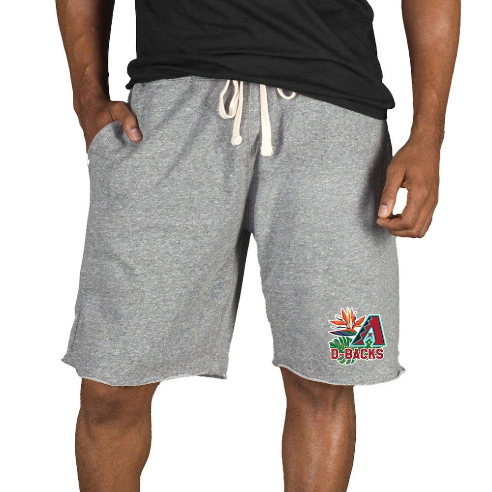 Arizona Diamondbacks Concepts Sport Mainstream Tri-Blend Shorts - Gray Shorts