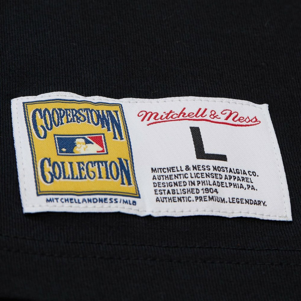Cal Ripken Jr. Baltimore Orioles Mitchell & Ness Legends Collection Vintage Logo T-Shirt - Black T-shirts