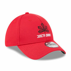 Cincinnati Reds New Era City Connect Batting Practice 39THIRTY Flex Hat - Red Hats