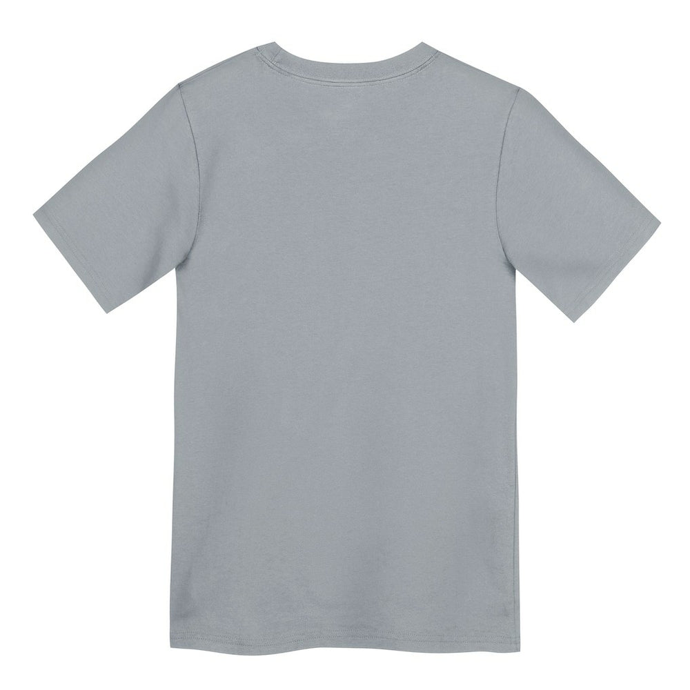 Dallas Cowboys Preschool Icon Legend Dri-FIT T-Shirt Gray