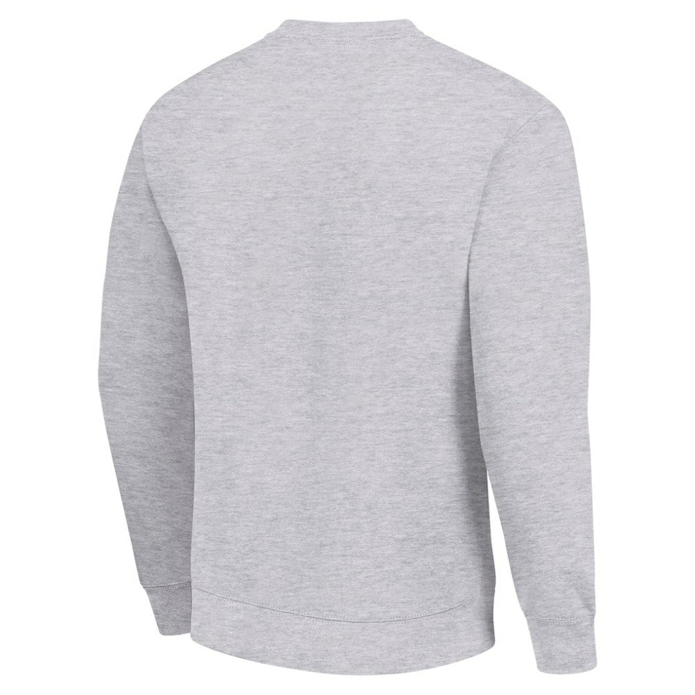 NHL Detroit Red Wings Starter Stick And Puck Logo Fleece Pullover Sweatshirt - Heather Gray
