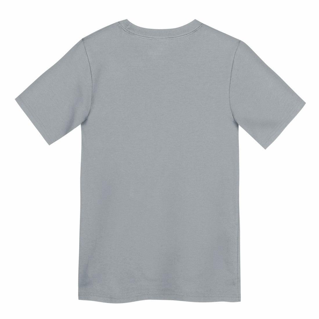 Detroit Lions Preschool Icon Legend Dri-FIT T-Shirt Gray