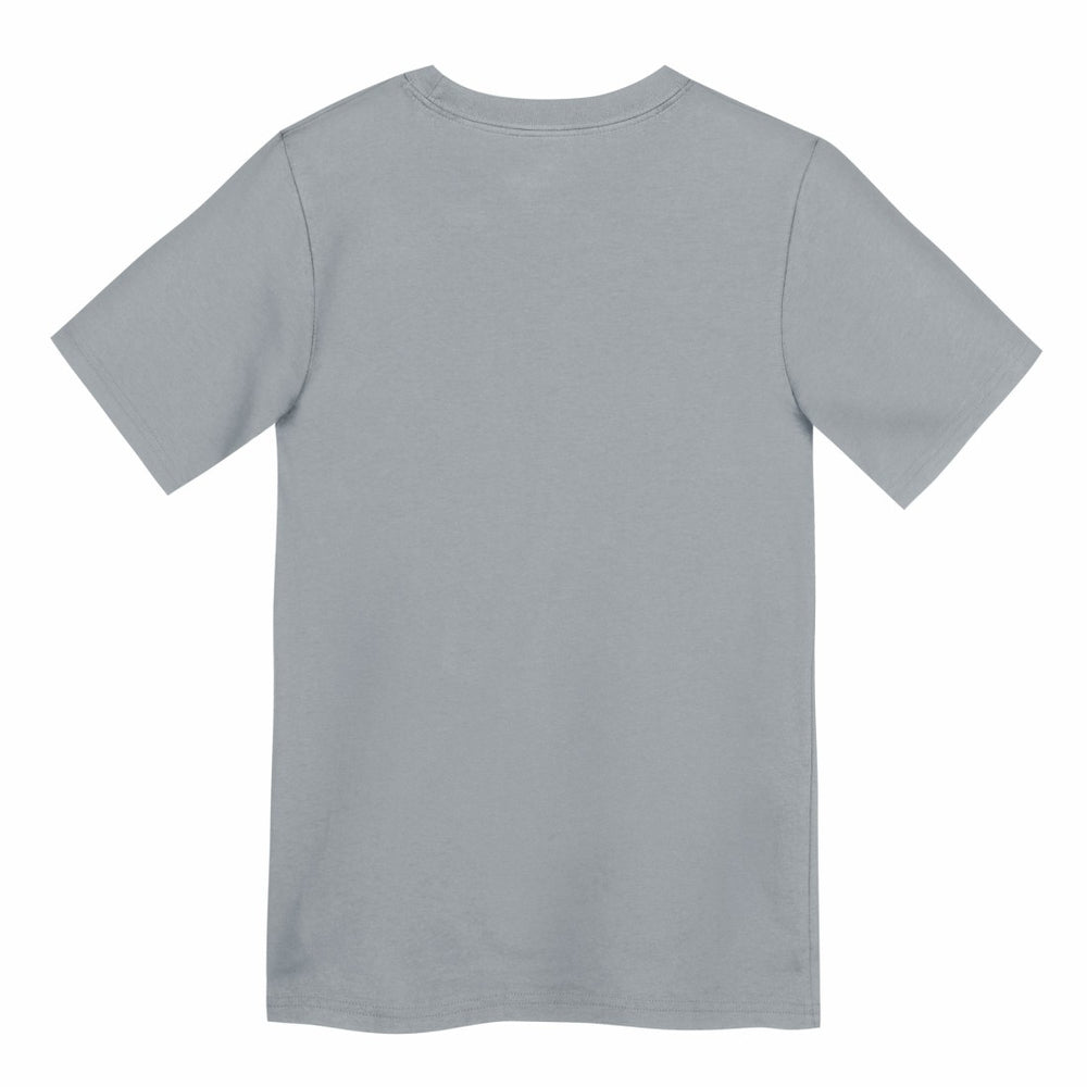 Detroit Lions Preschool Icon Legend Dri-FIT T-Shirt Gray