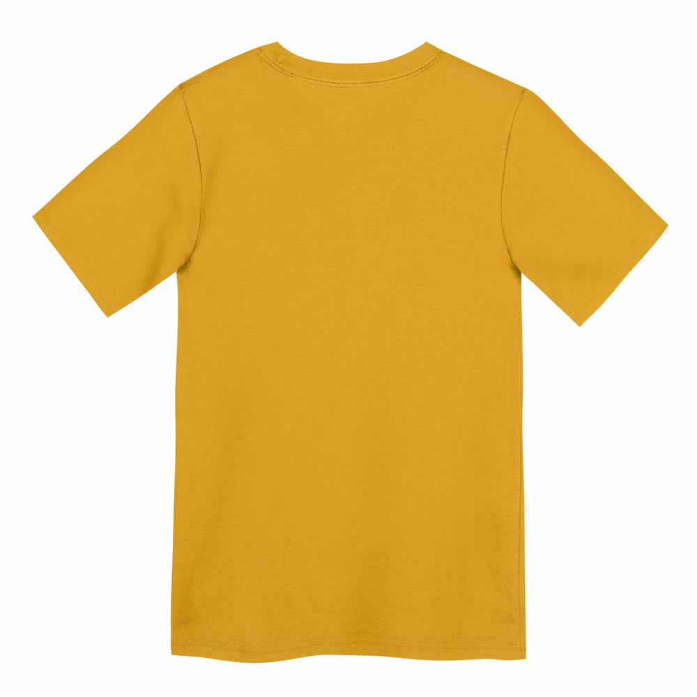 Green Bay Packers Preschool Icon Legend Dri-FIT T-Shirt Gold