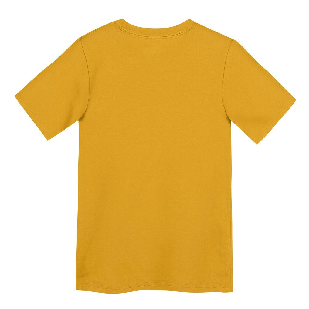 Pittsburgh Steelers Preschool Icon Legend Dri-FIT T-Shirt Gold