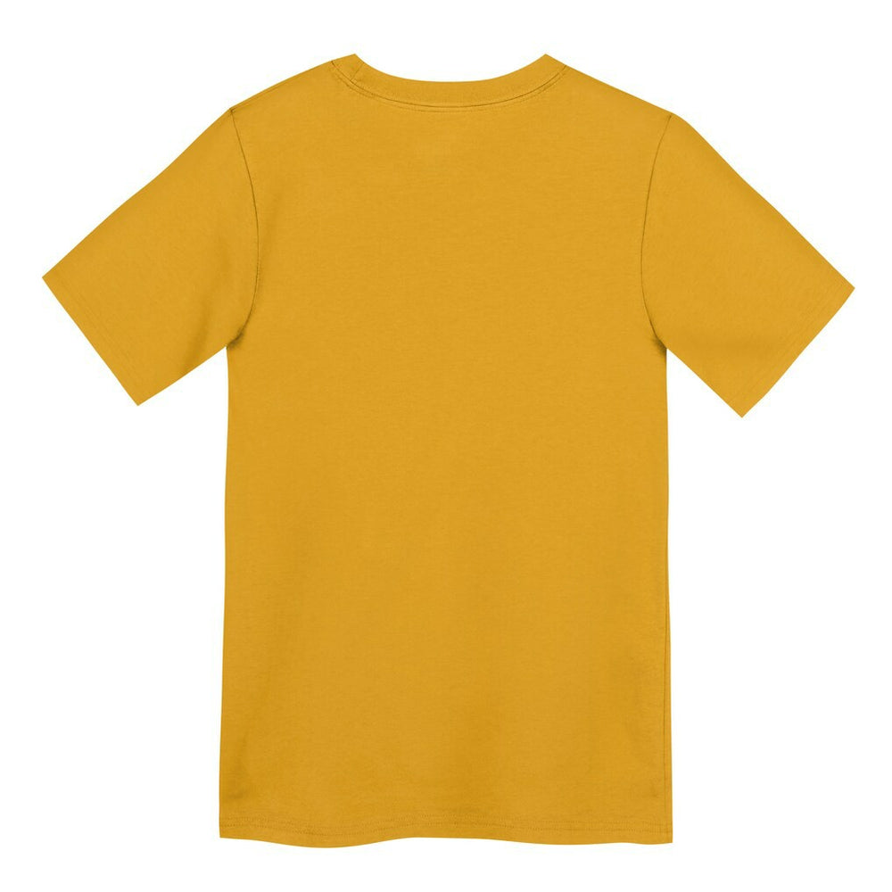 Pittsburgh Steelers Preschool Icon Legend Dri-FIT T-Shirt Gold