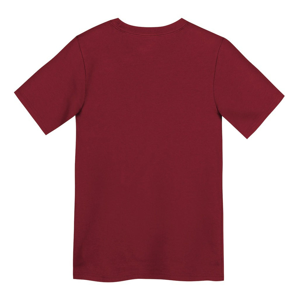 San Francisco 49ers Preschool Primary Logo Legend Performance T-Shirt Scarlet