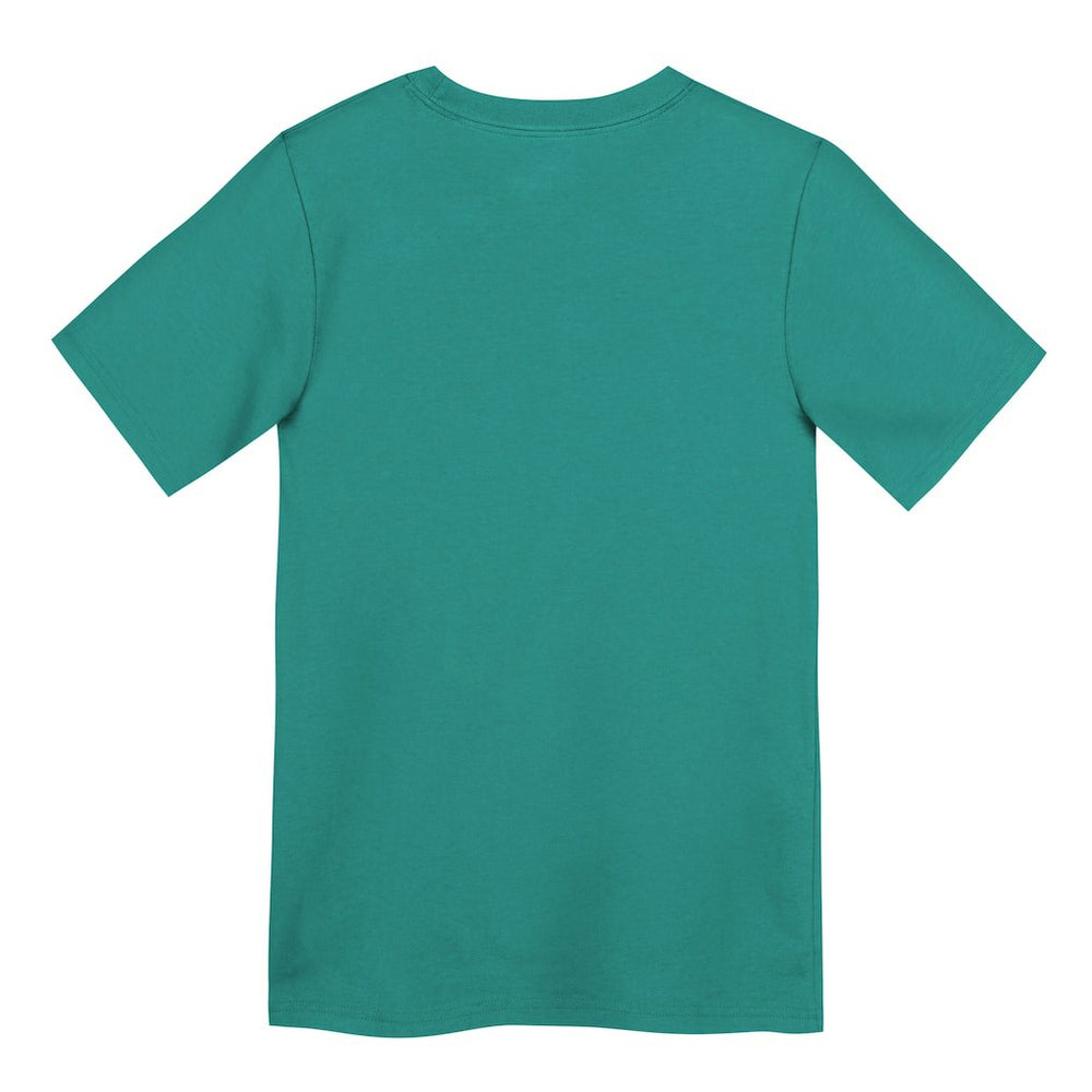 Miami Dolphins Preschool Wordmark T-Shirt Aqua