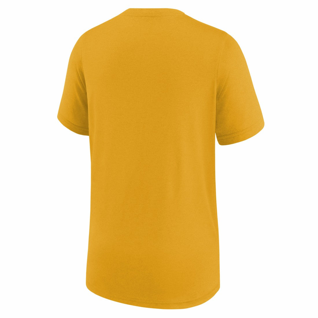 Green Bay Packers Youth Icon Legend T-Shirt Gold