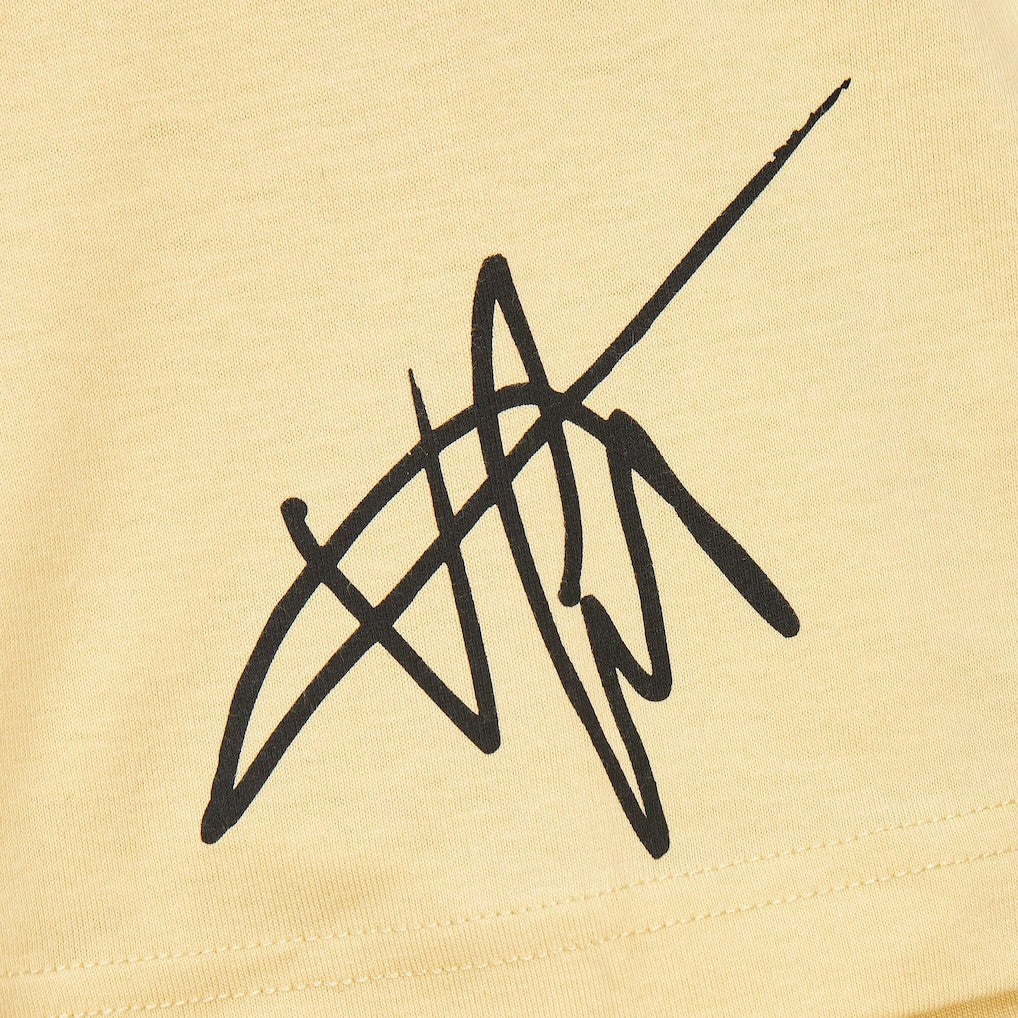 Vince Carter Toronto Raptors Premium T-Shirt Cream