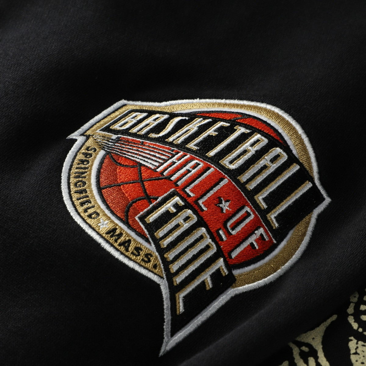 Vince Carter Toronto Raptors NBA Hall of Fame 2024 Fleece Pullover Hoodie Black