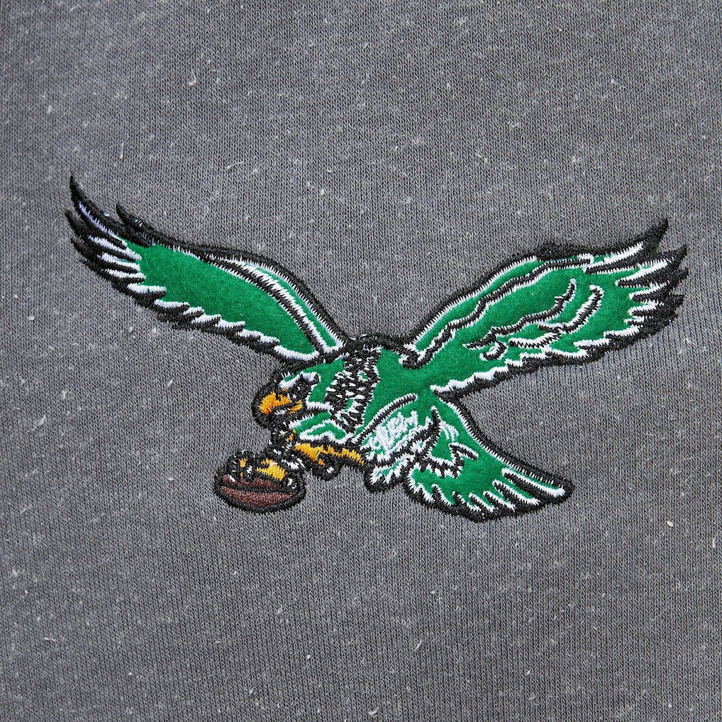 Philadelphia Eagles Vintage Logo Snow Washed Fleece Pullover Hoodie Heather Gray