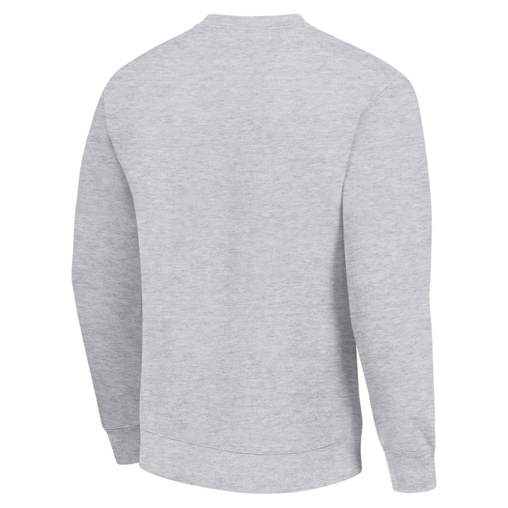 NHL New York Rangers Men's Starter Team Logo Fleece Pullover Sweatshirt - Heather Gray