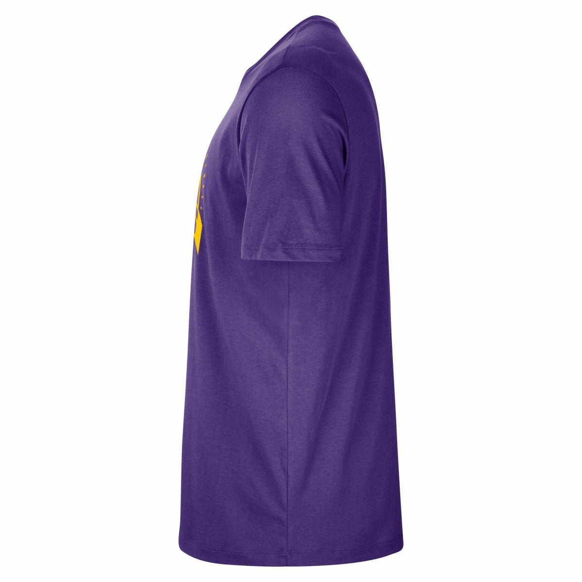 Los Angeles Lakers Authentic Practice T-Shirt Purple