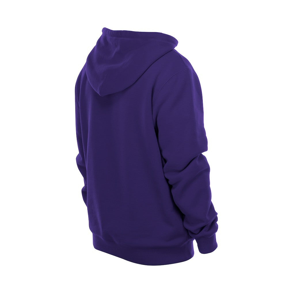 Minnesota Vikings New Era Combine Authentic Local State Throwback Hoodie Purple