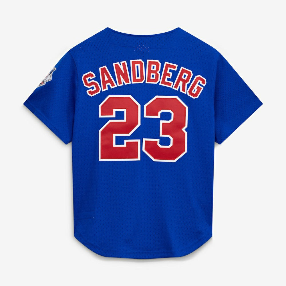Ryne Sandberg Chicago Cubs Mitchell & Ness Cooperstown Collection 1997 Mesh Batting Practice Button-Up Jersey - Royal Jerseys