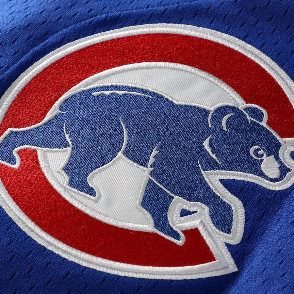 Ryne Sandberg Chicago Cubs Mitchell & Ness Cooperstown Collection 1997 Mesh Batting Practice Button-Up Jersey - Royal Jerseys