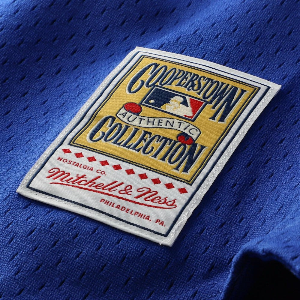 Ryne Sandberg Chicago Cubs Mitchell & Ness Cooperstown Collection 1997 Mesh Batting Practice Button-Up Jersey - Royal Jerseys