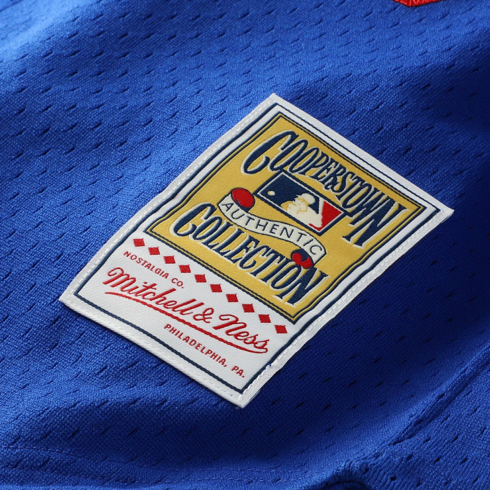 Hideo Nomo Los Angeles Dodgers Mitchell & Ness Cooperstown Collection Mesh Batting Practice Button-Up Jersey - Royal Jerseys