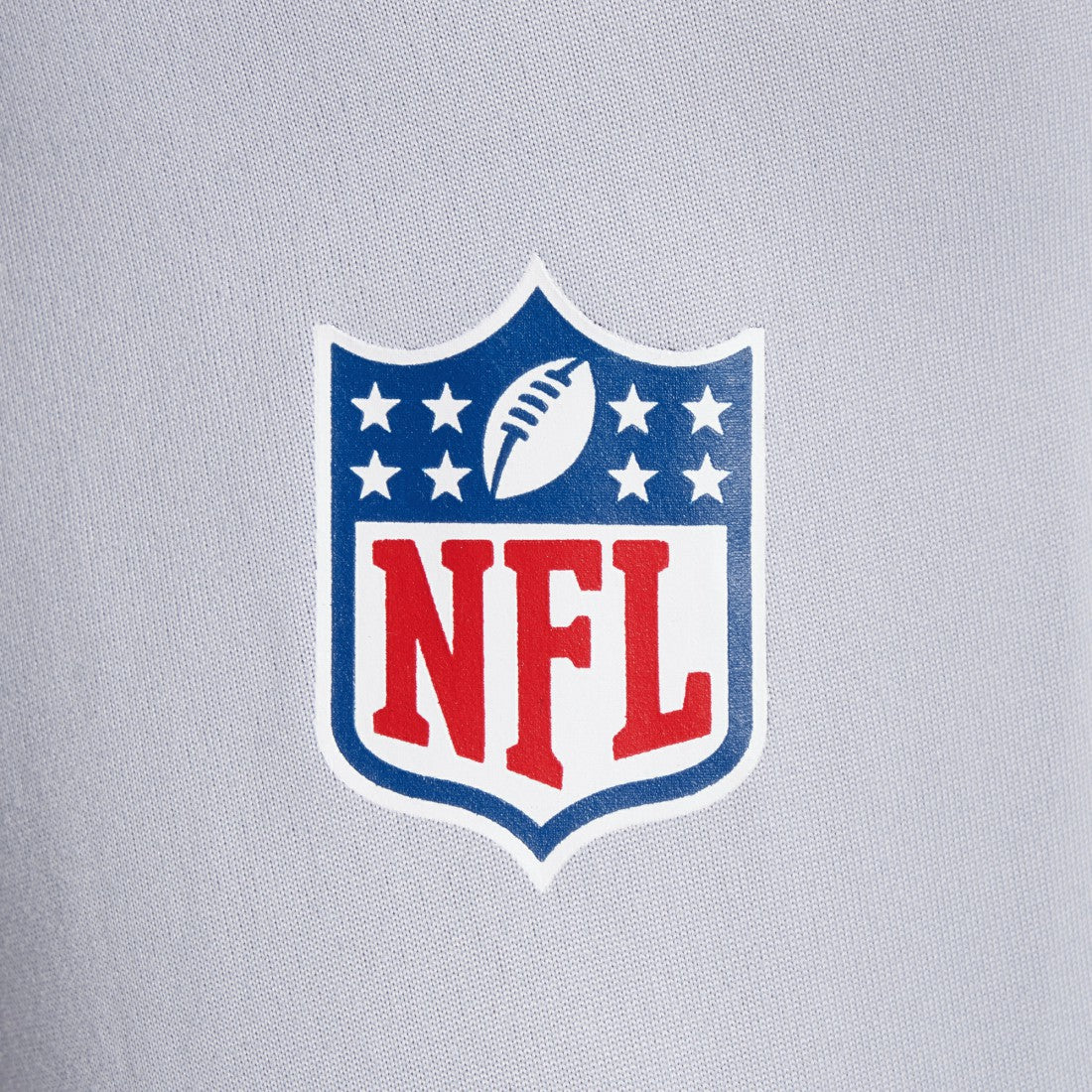 Seattle Seahawks 2025 Rivalries Collection Sideline Legend Dri-FIT Long Sleeve T-Shirt Wolf Gray