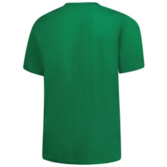 Detroit Lions Big & Tall Celtic T-Shirt Kelly Green