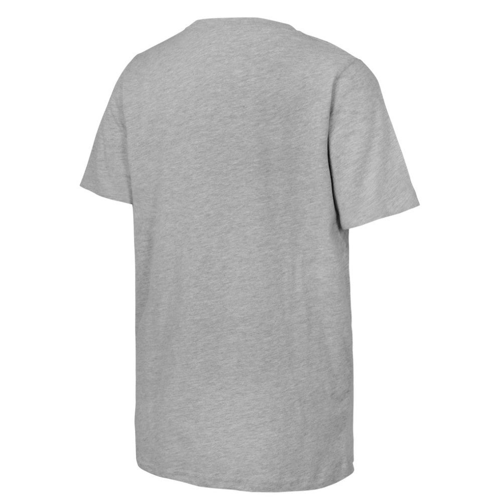 NHL Youth 2025 NHL Stadium Series Columbus Blue Jackets vs. Detroit Red Wings Matchup T-Shirt - Heather Gray