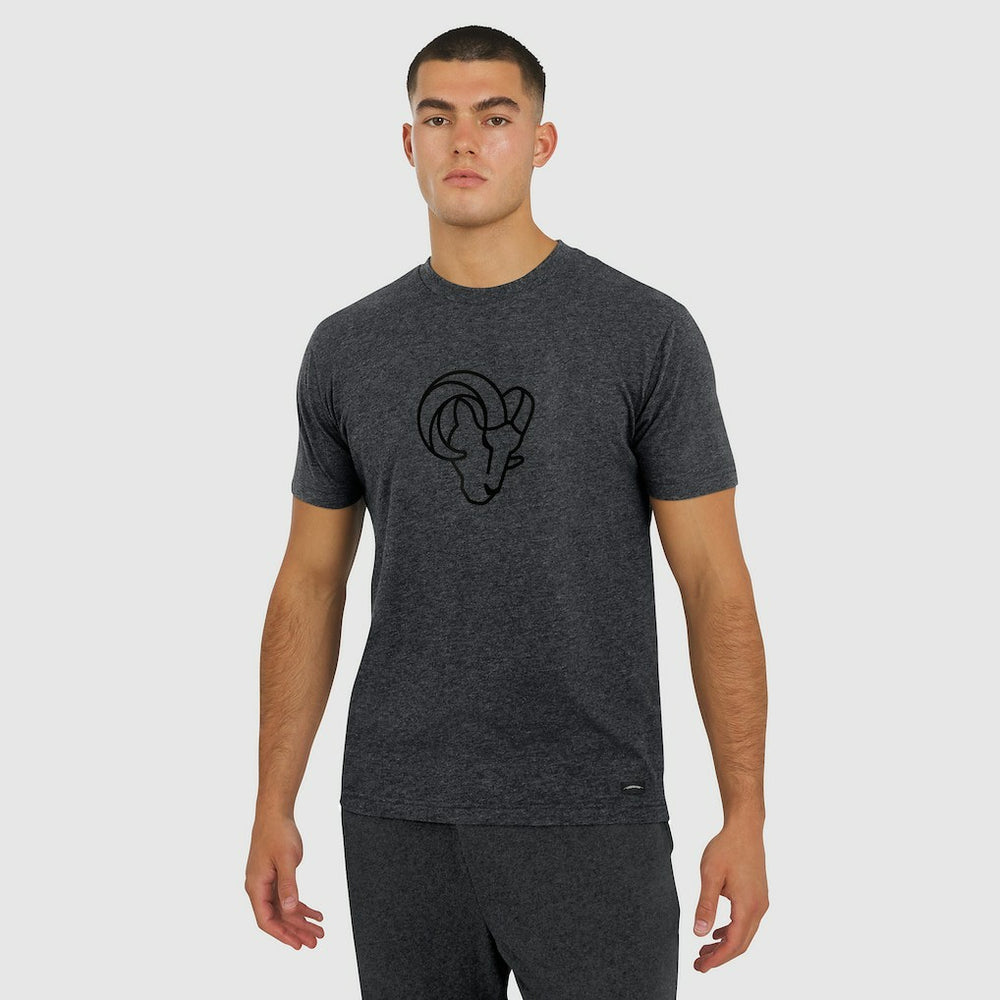 Los Angeles Rams J. Palmer Players Lounge Tri-Blend T-Shirt Graphite