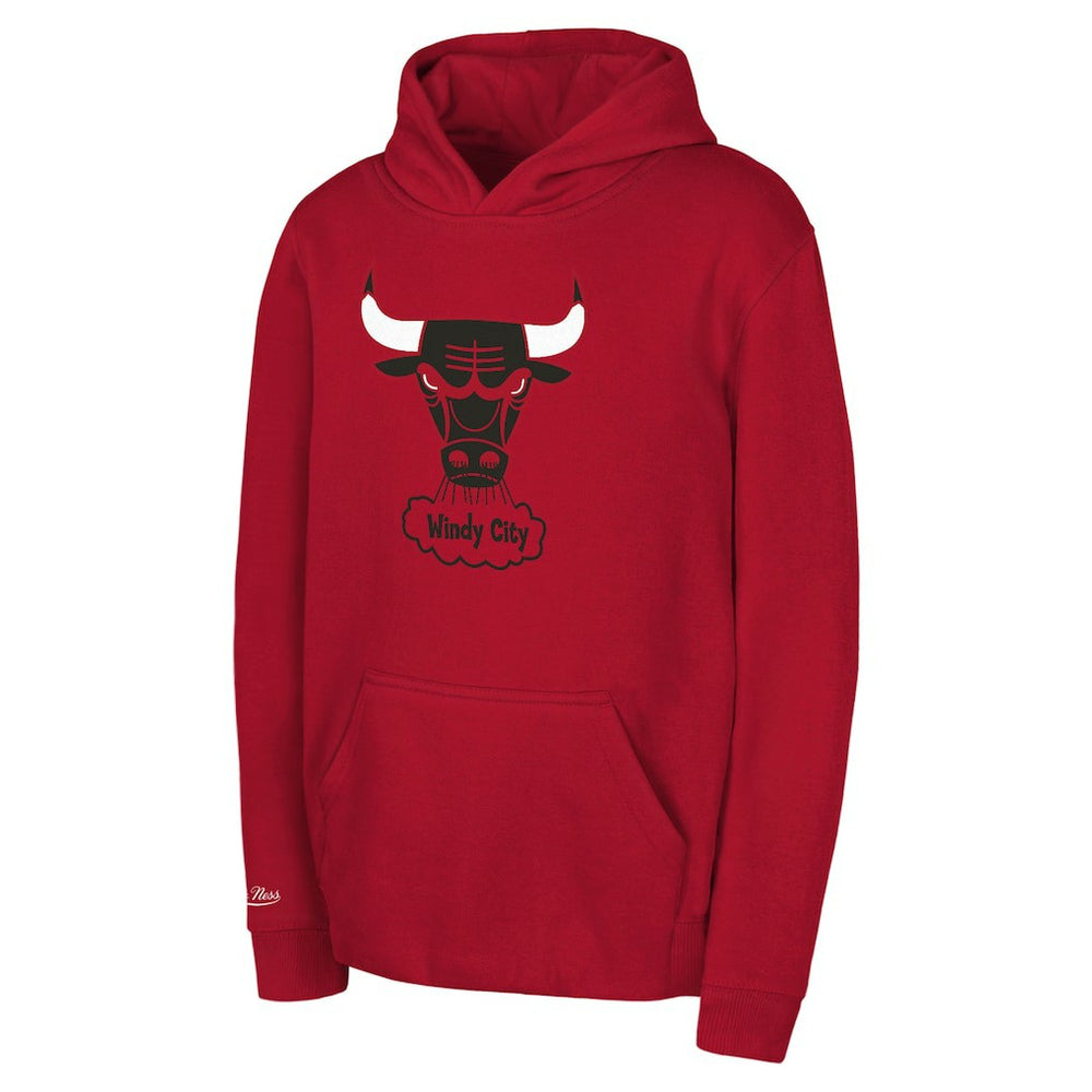 Chicago Bulls Preschool Retro Logo Pullover Hoodie Red