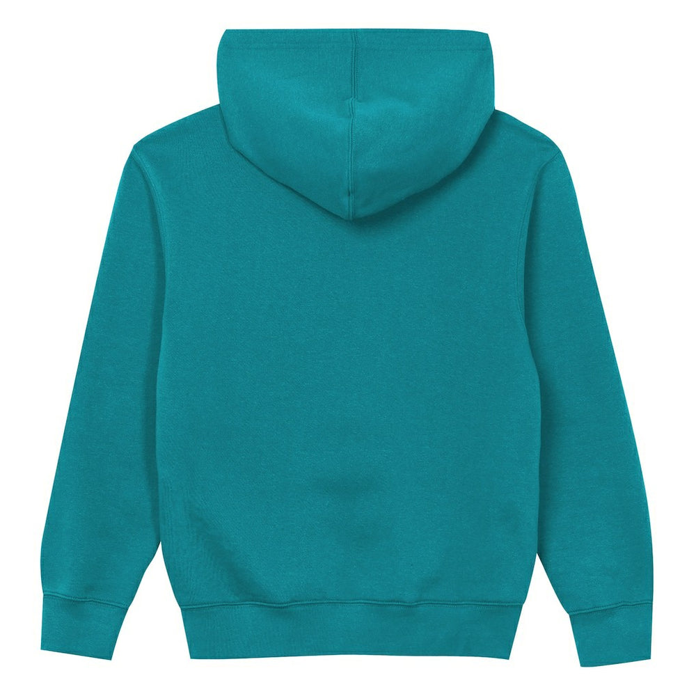 Miami Dolphins Outerstuff Preschool Back to Basics Hoodie Aqua