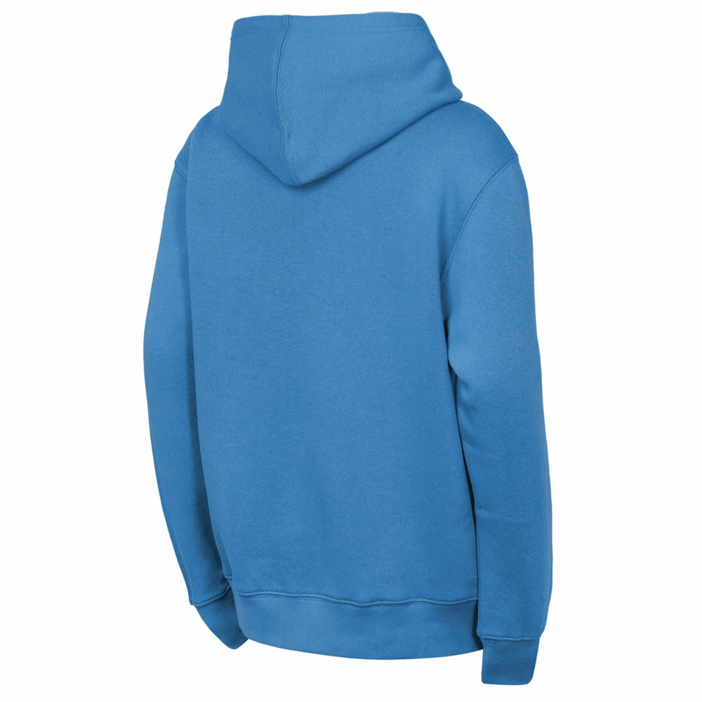 Tennessee Titans Outerstuff Youth Back to Basics Hoodie Light Blue