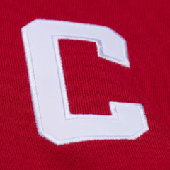 NHL Steve Yzerman Detroit Red Wings Mitchell & Ness 1997 Name & Number Premium Pullover Hoodie - Scarlet