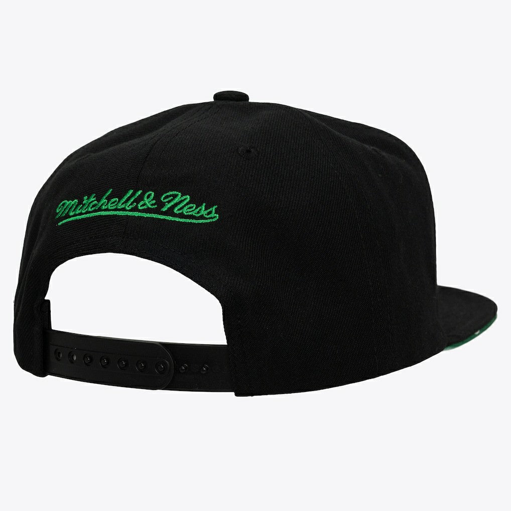 Boston Celtics Color Pop Snapback Hat Kelly Green/Black