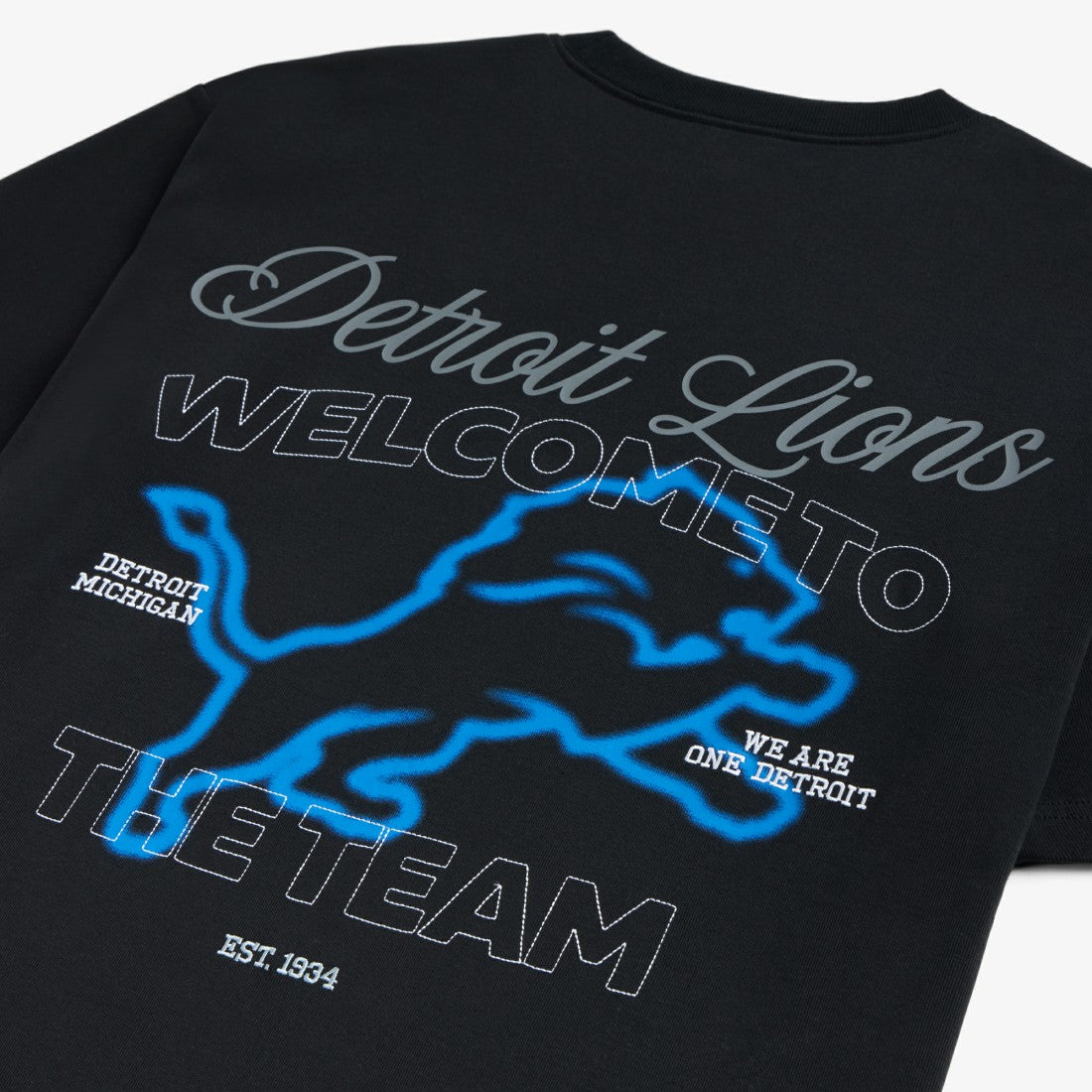 Detroit Lions Off Season x NFL Unisex Graphic T-Shirt Black